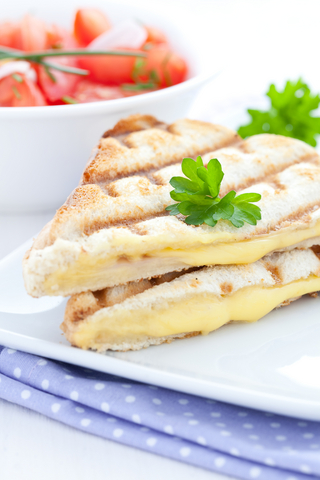 Grilled cheese sandwich (panini)